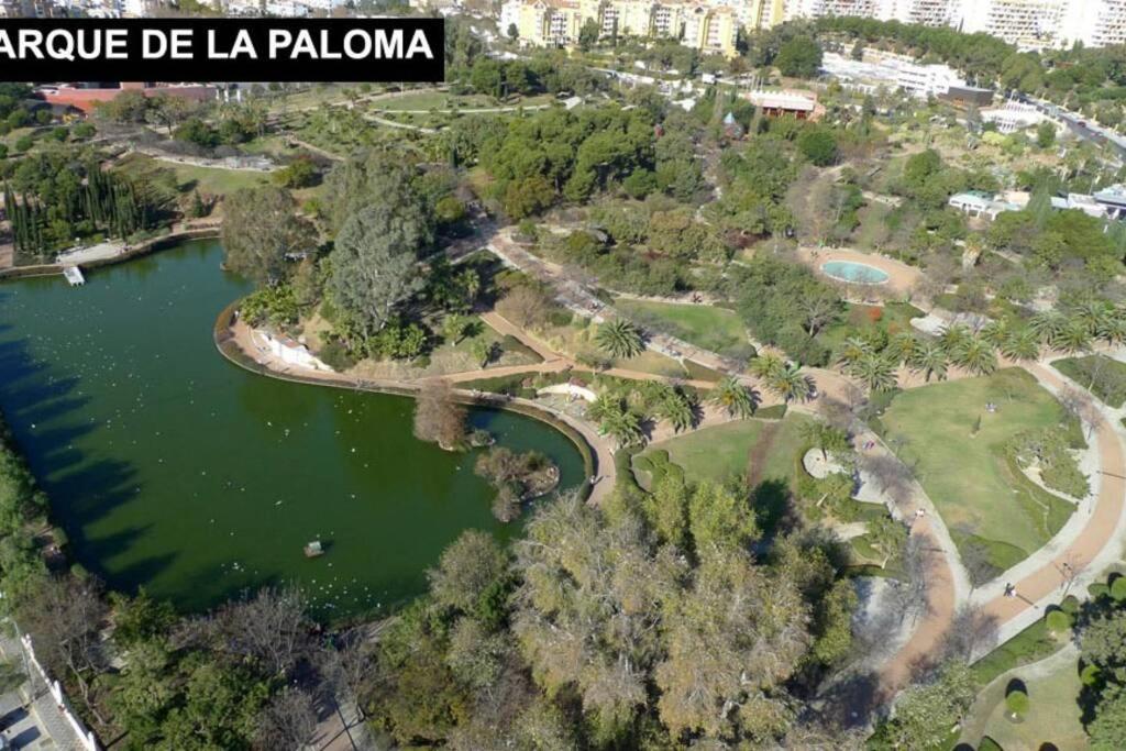 Estudio En Benalbeach, Vistas Mar, Primera Linea Playa Benalmádena Eksteriør bilde